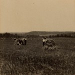 Stereoview of two men in a field next to grain stacks.