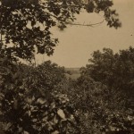 Post-war stereoview of the confederate campsite at Wilson's Creek.