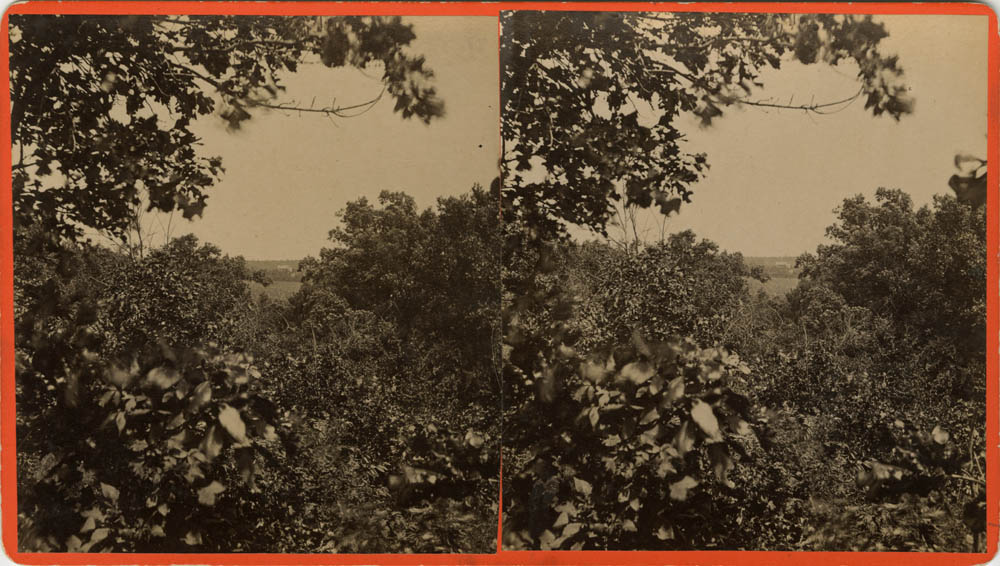 Post-war stereoview of the confederate campsite at Wilson